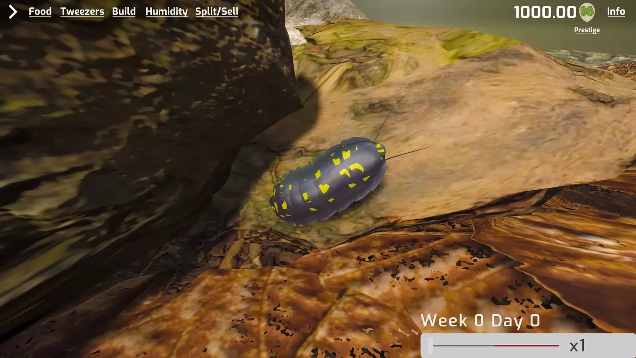 -Isopod Keeping Simulator-游戏截图-好玩游戏库