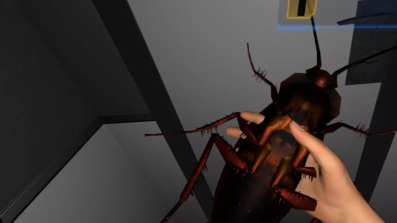 -FEAR OF BUGS 2-游戏截图-好玩游戏库