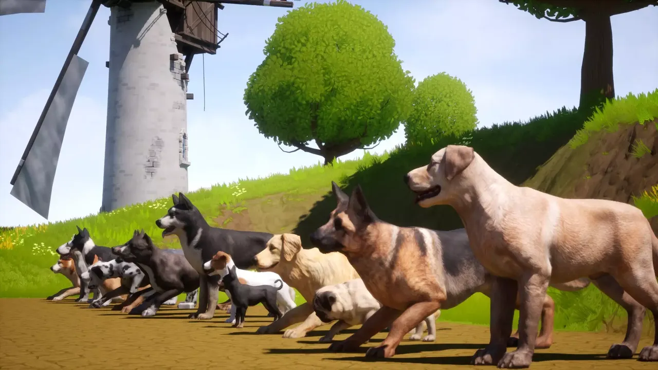 Dogs Club
