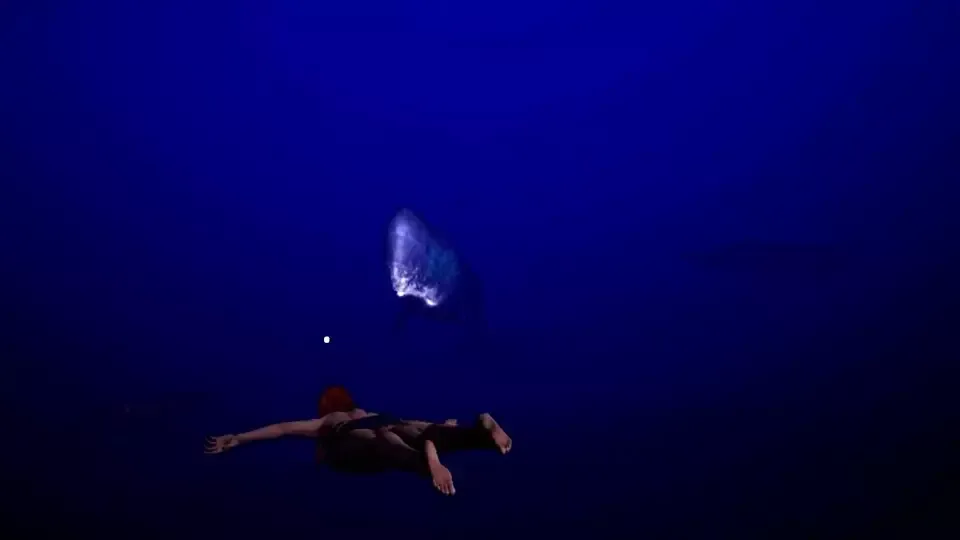 -DeepSea Serenity: VR Underwater Trip-游戏截图-好玩游戏库