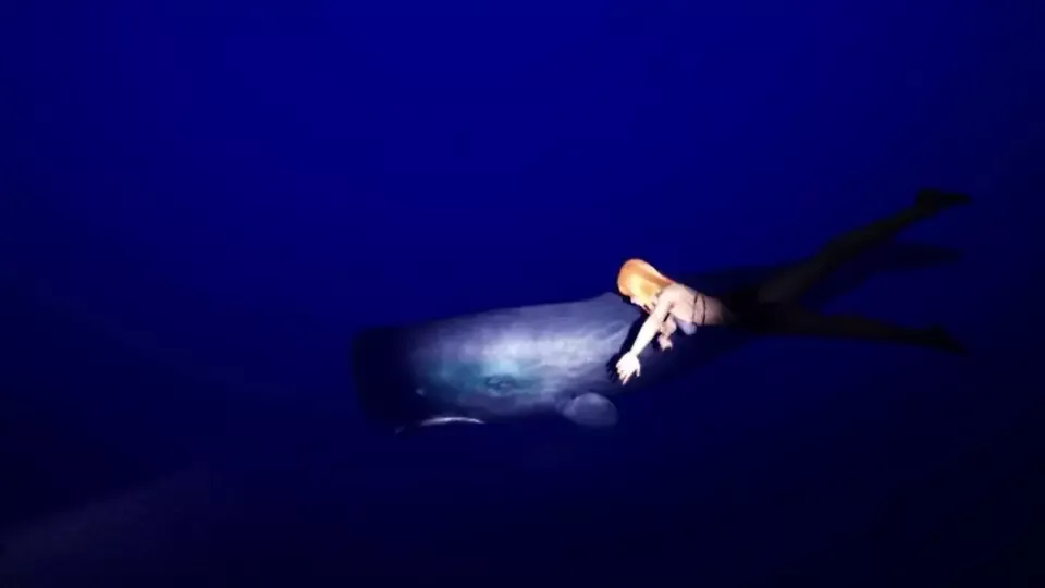 -DeepSea Serenity: VR Underwater Trip-游戏截图-好玩游戏库