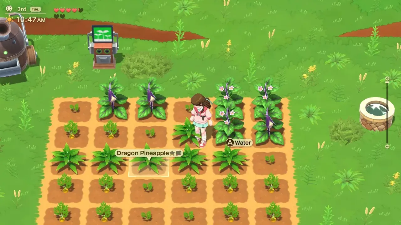 -Harvest Moon: Home Sweet Home Special Edition-游戏截图-好玩游戏库