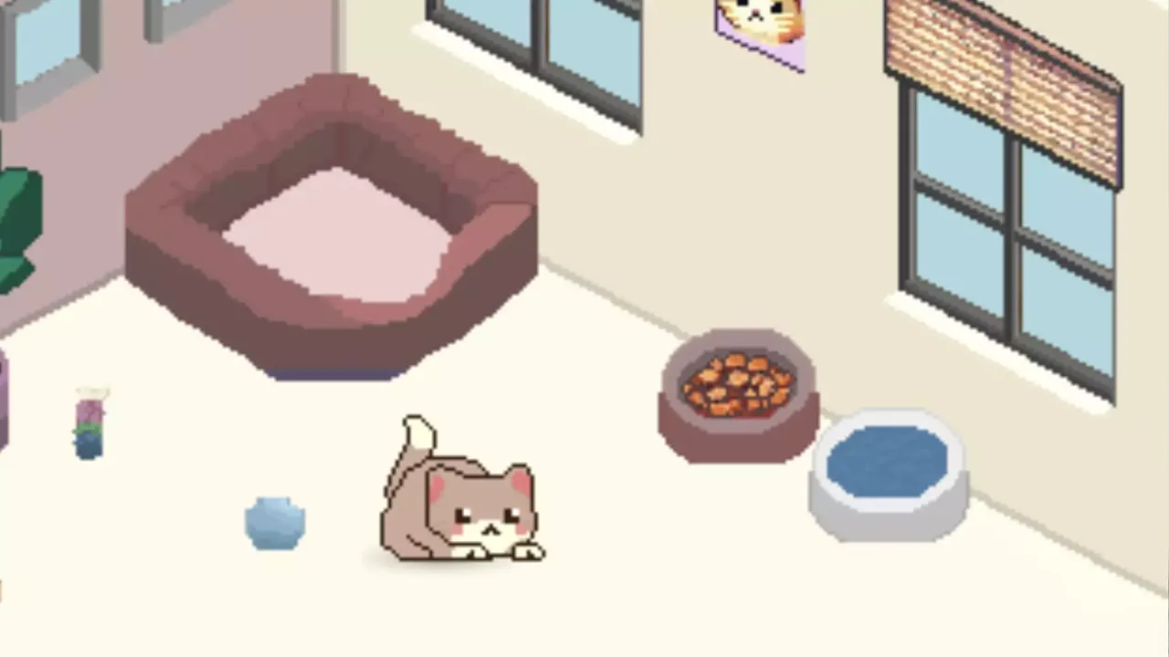 -Cozy Cat-游戏截图-好玩游戏库