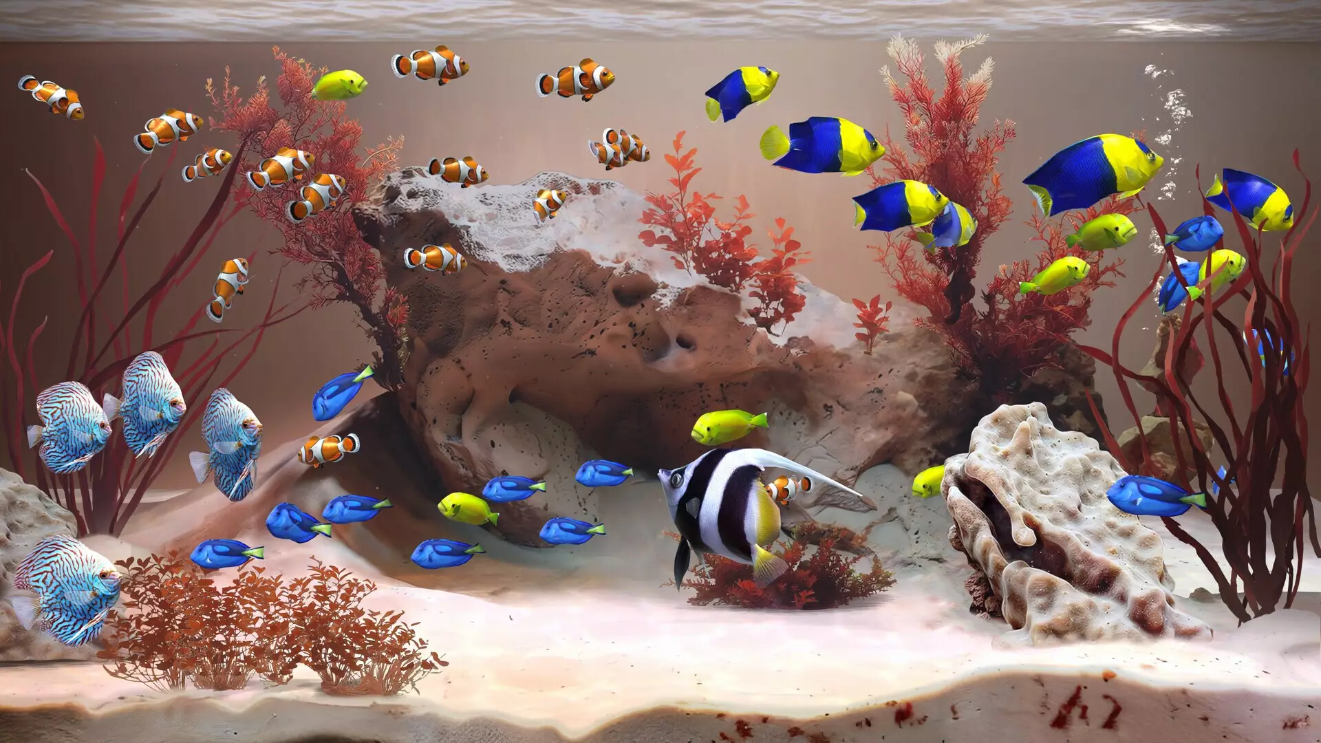 -Zen Aquarium-游戏截图-好玩游戏库