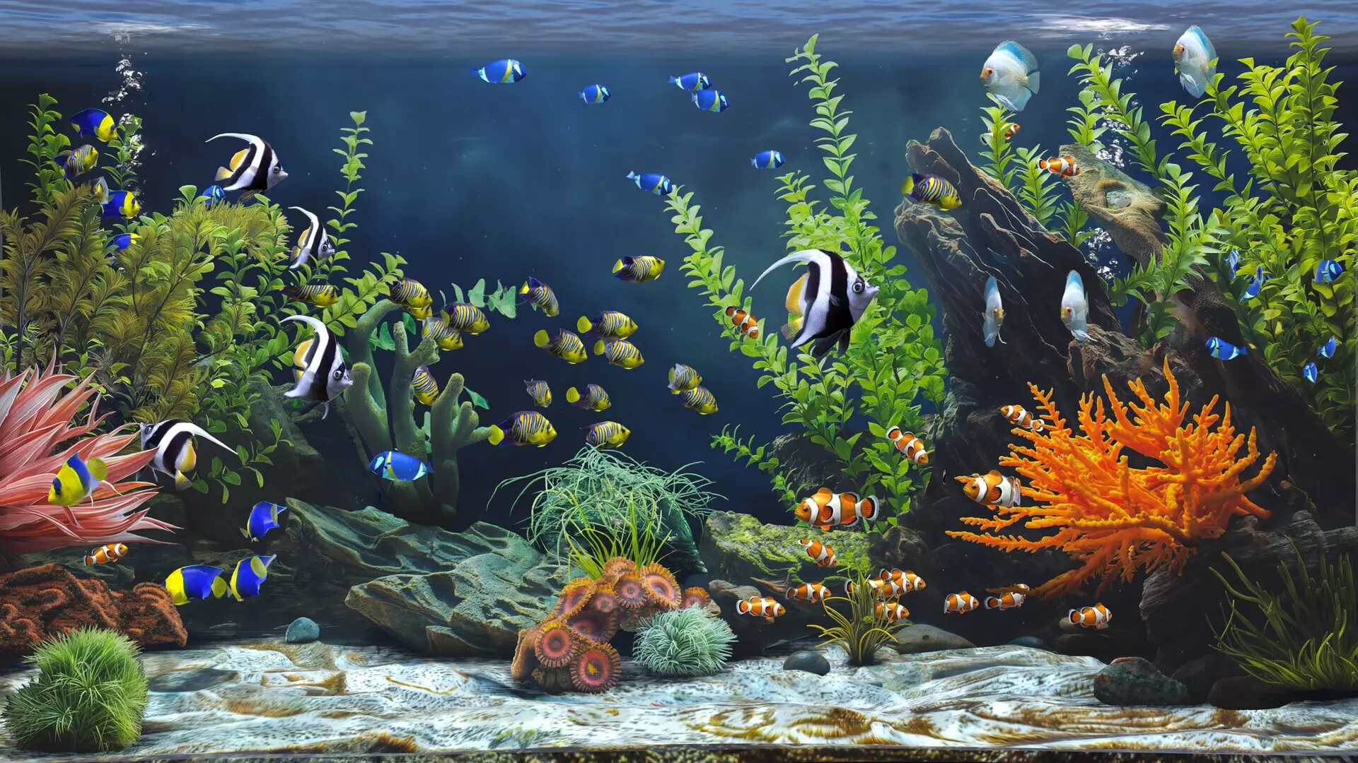 -Zen Aquarium-游戏截图-好玩游戏库