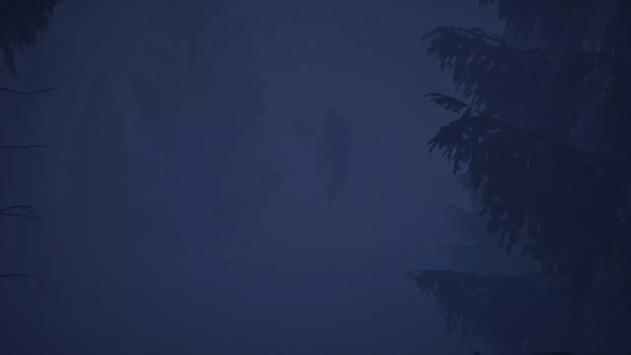 -Whispers In The Woods-游戏截图-好玩游戏库