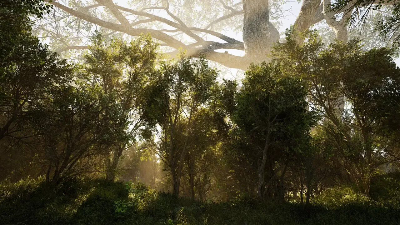 -Calming Forest-游戏截图-好玩游戏库