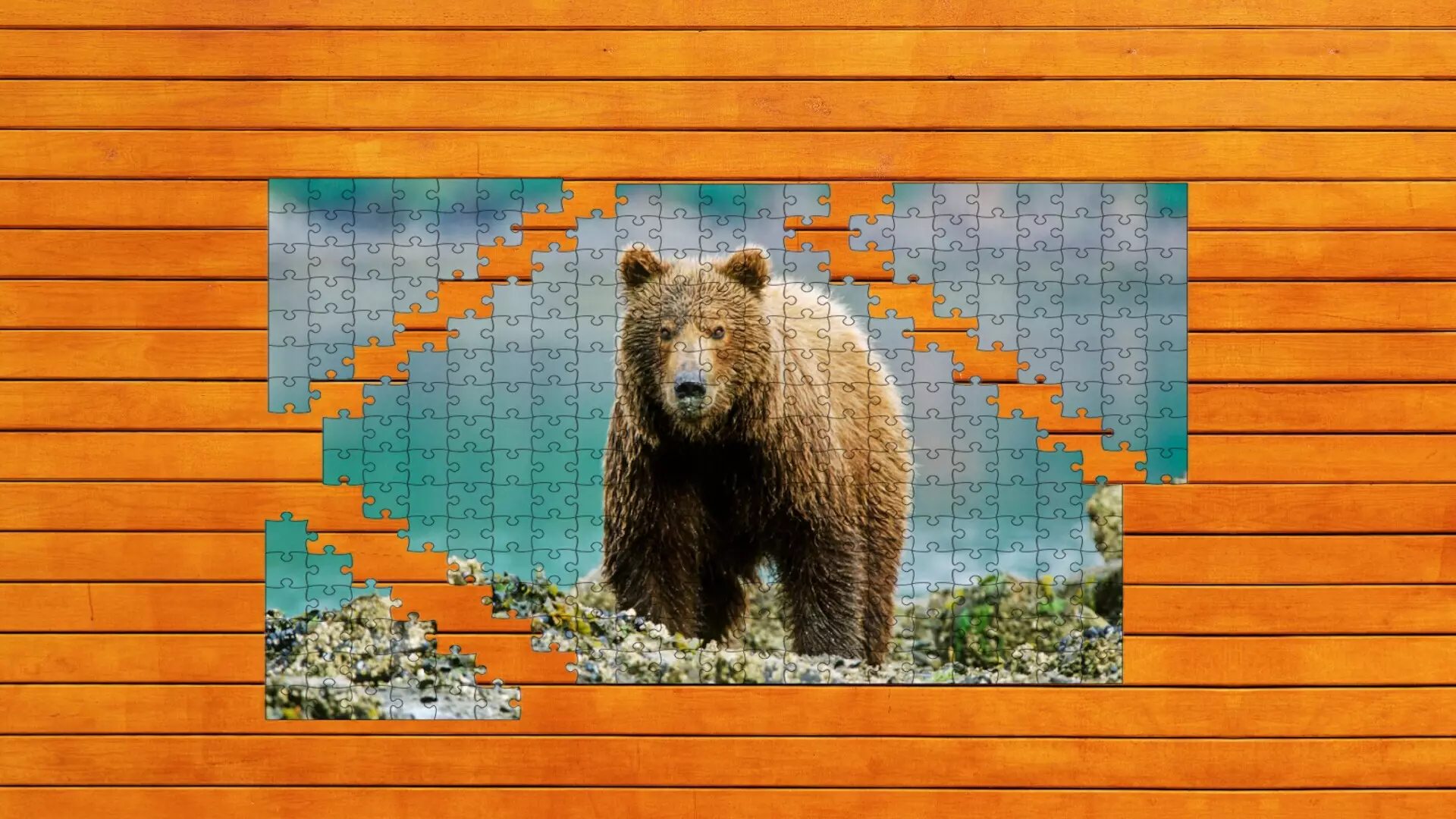 -Bear vs. Wolf Jigsaw Puzzle-游戏截图-好玩游戏库