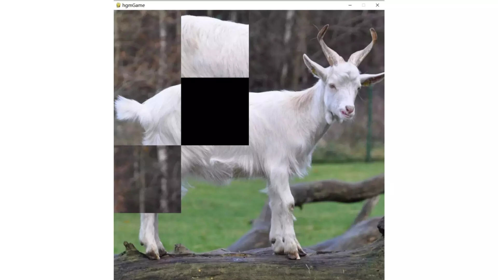 -hgmGame-sheep-游戏截图-好玩游戏库