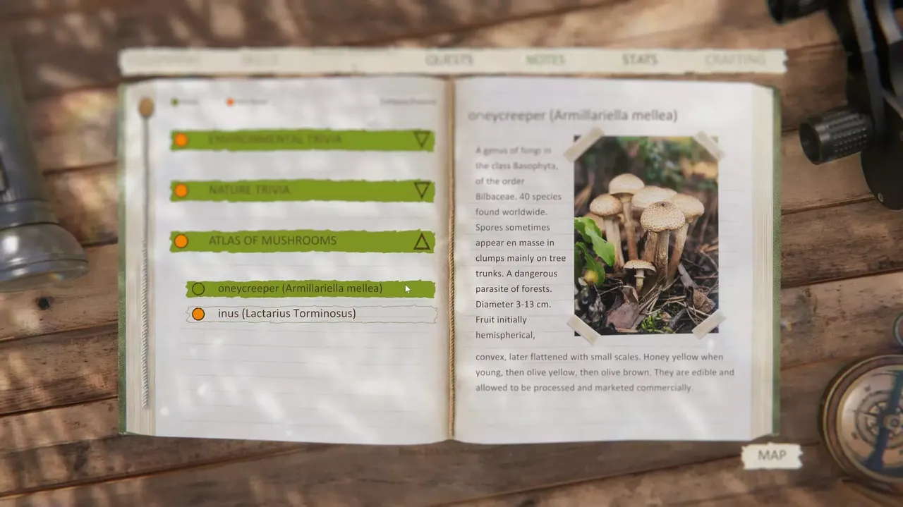 -Forest Ranger Simulator - Apprenticeship-游戏截图-好玩游戏库