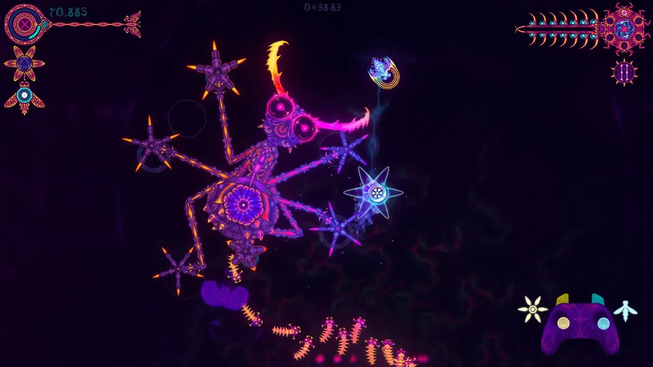 NIDUS
