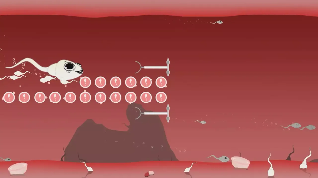 -Fallopian Frenzy! Come Again?-游戏截图-好玩游戏库