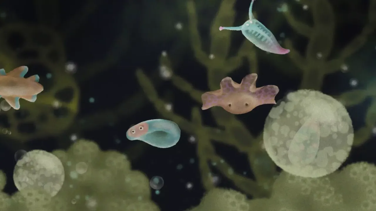 -Jellies of the Deep-游戏截图-好玩游戏库