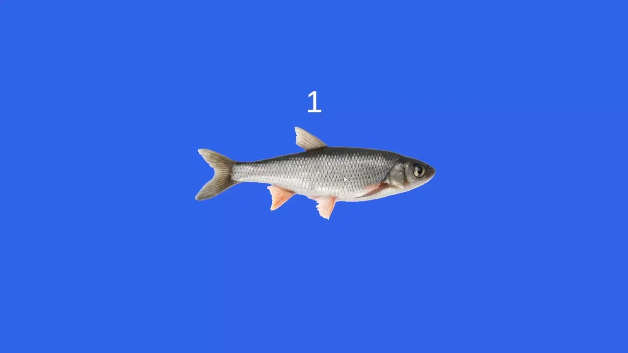 -Fish-游戏截图-好玩游戏库