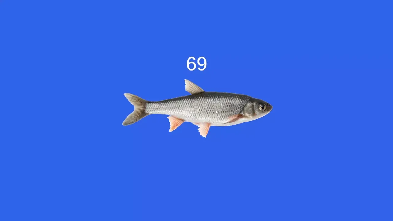 -Fish-游戏截图-好玩游戏库