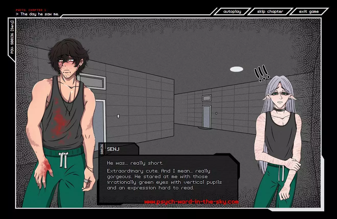 Psych Ward In The Sky