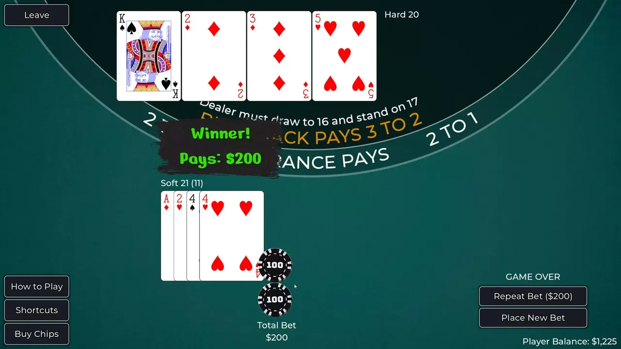 -Player vs. Dealer Blackjack-游戏截图-好玩游戏库