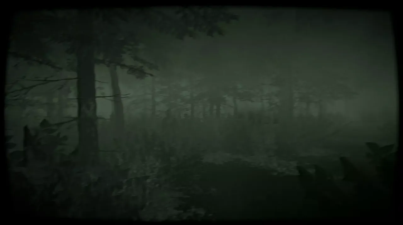 -The Children of The Woods - Lost Tape-游戏截图-好玩游戏库