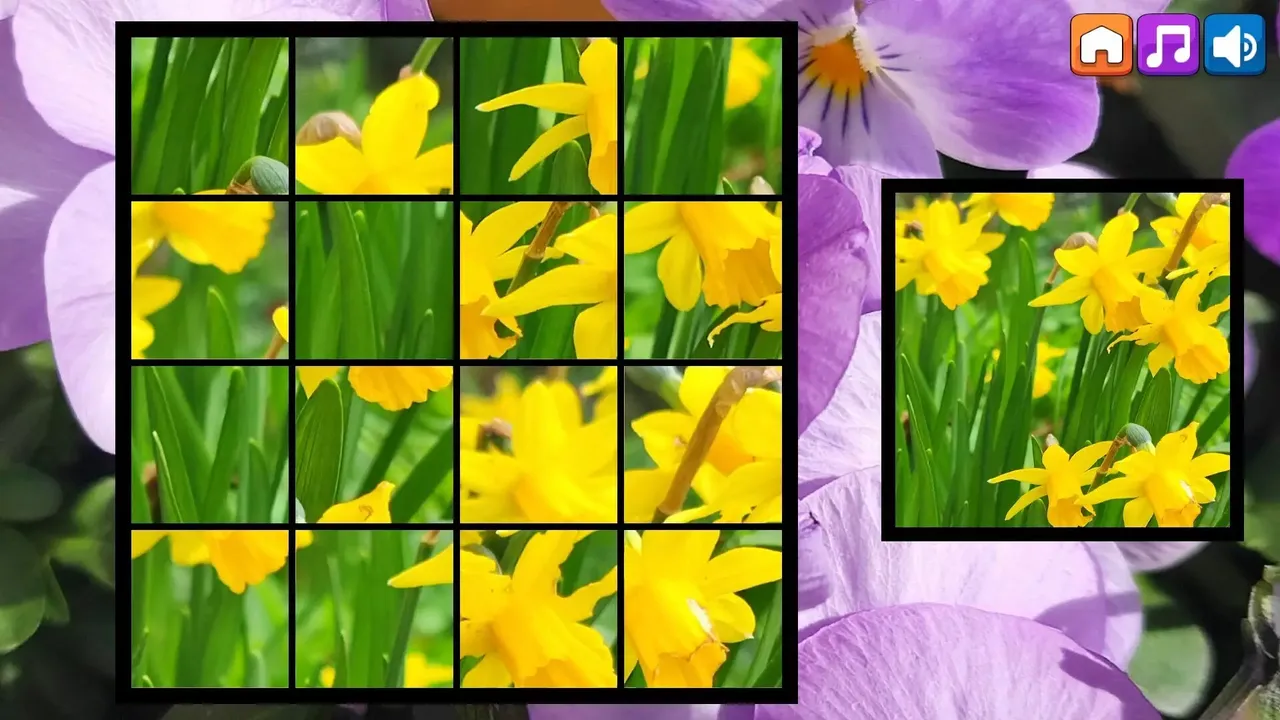 -OG Puzzlers: Spring 2K24-游戏截图-好玩游戏库