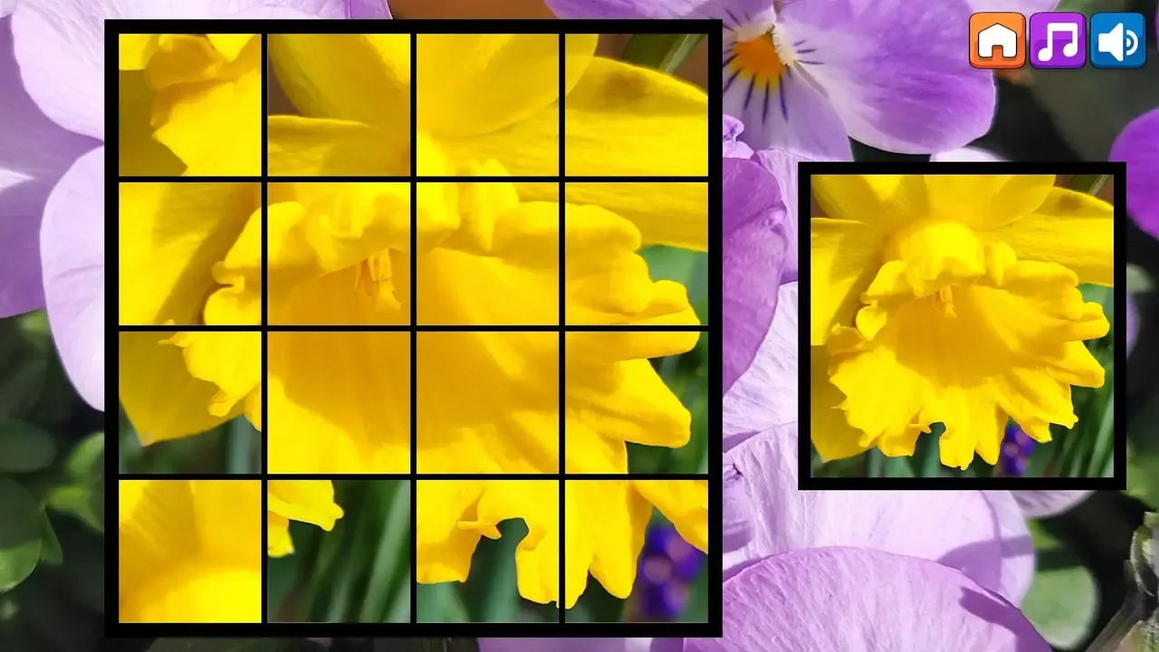 -OG Puzzlers: Spring 2K24-游戏截图-好玩游戏库