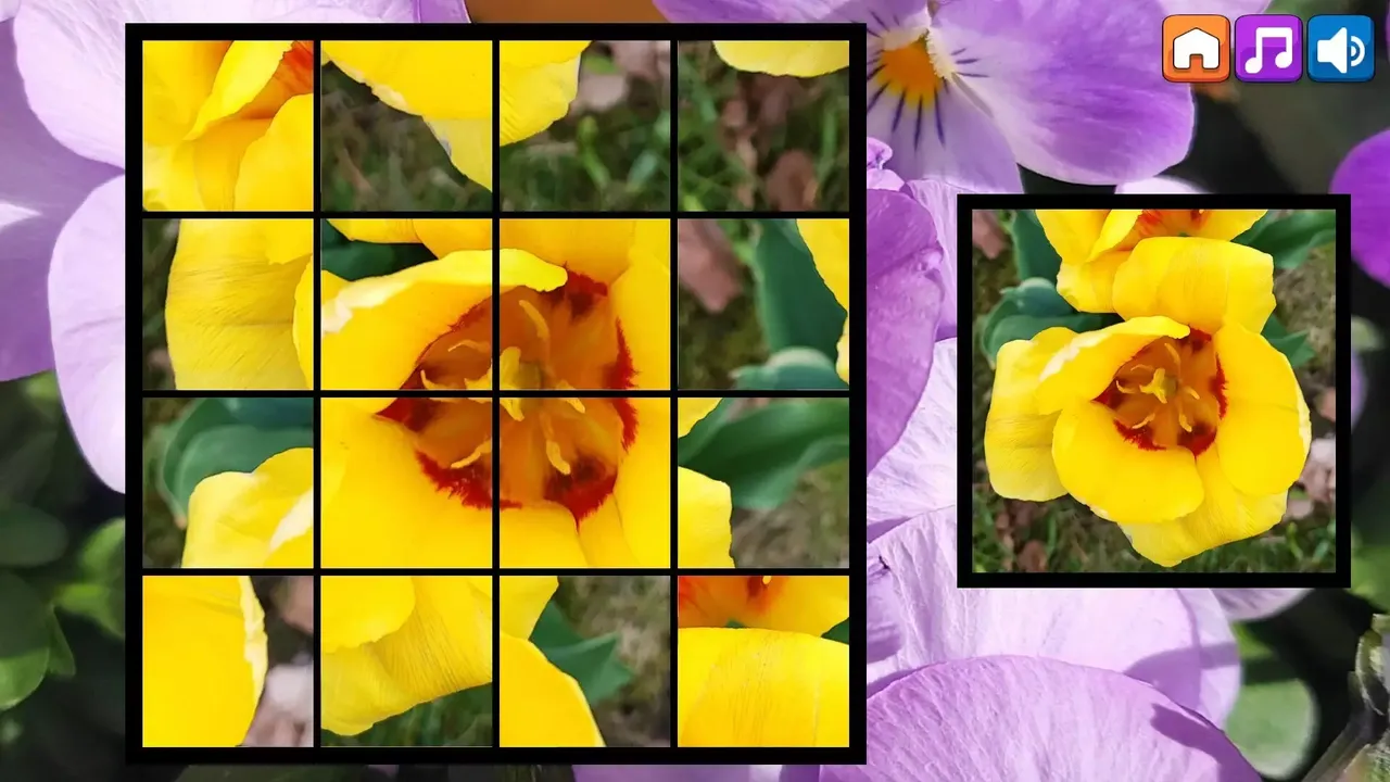 -OG Puzzlers: Spring 2K24-游戏截图-好玩游戏库