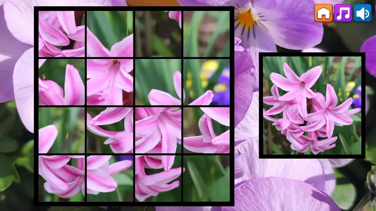 -OG Puzzlers: Spring 2K24-游戏截图-好玩游戏库