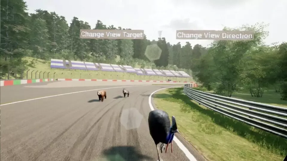 -Animal Race Run VR-游戏截图-好玩游戏库