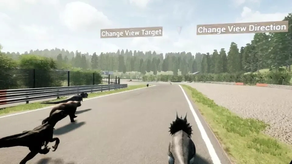 -Animal Race Run VR-游戏截图-好玩游戏库