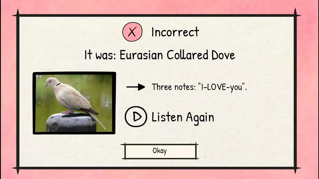 -BirdLingo: A birdsong learning game-游戏截图-好玩游戏库