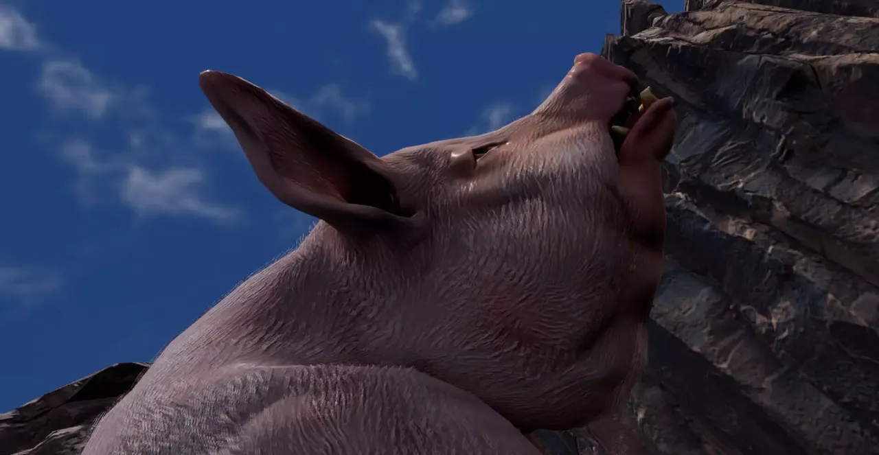 -Big Pig-游戏截图-好玩游戏库