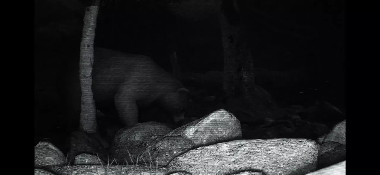 -TRAILCAM-游戏截图-好玩游戏库