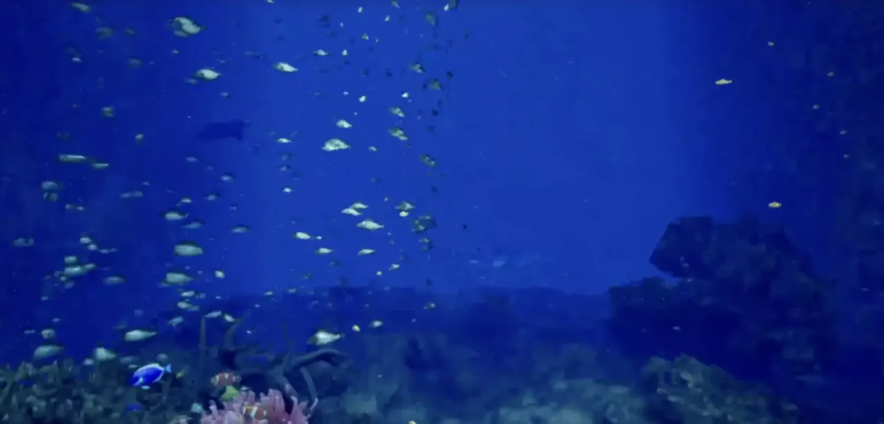 -Aquarium at August 32nd VR-游戏截图-好玩游戏库