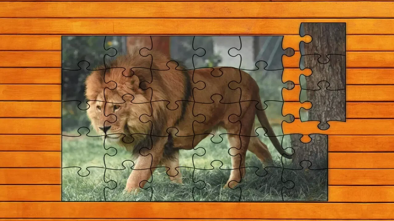 -Big Cat Jigsaw Quest-游戏截图-好玩游戏库