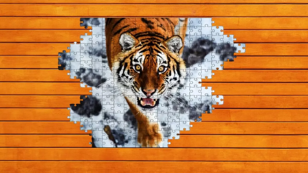-Big Cat Jigsaw Quest-游戏截图-好玩游戏库
