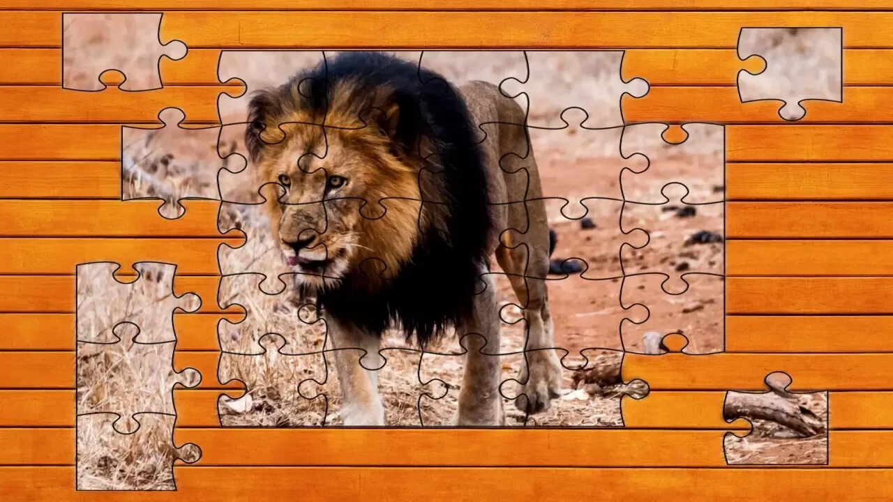 -Big Cat Jigsaw Quest-游戏截图-好玩游戏库