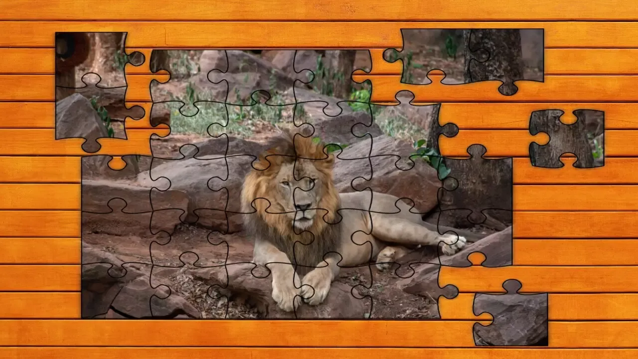 -Big Cat Jigsaw Quest-游戏截图-好玩游戏库