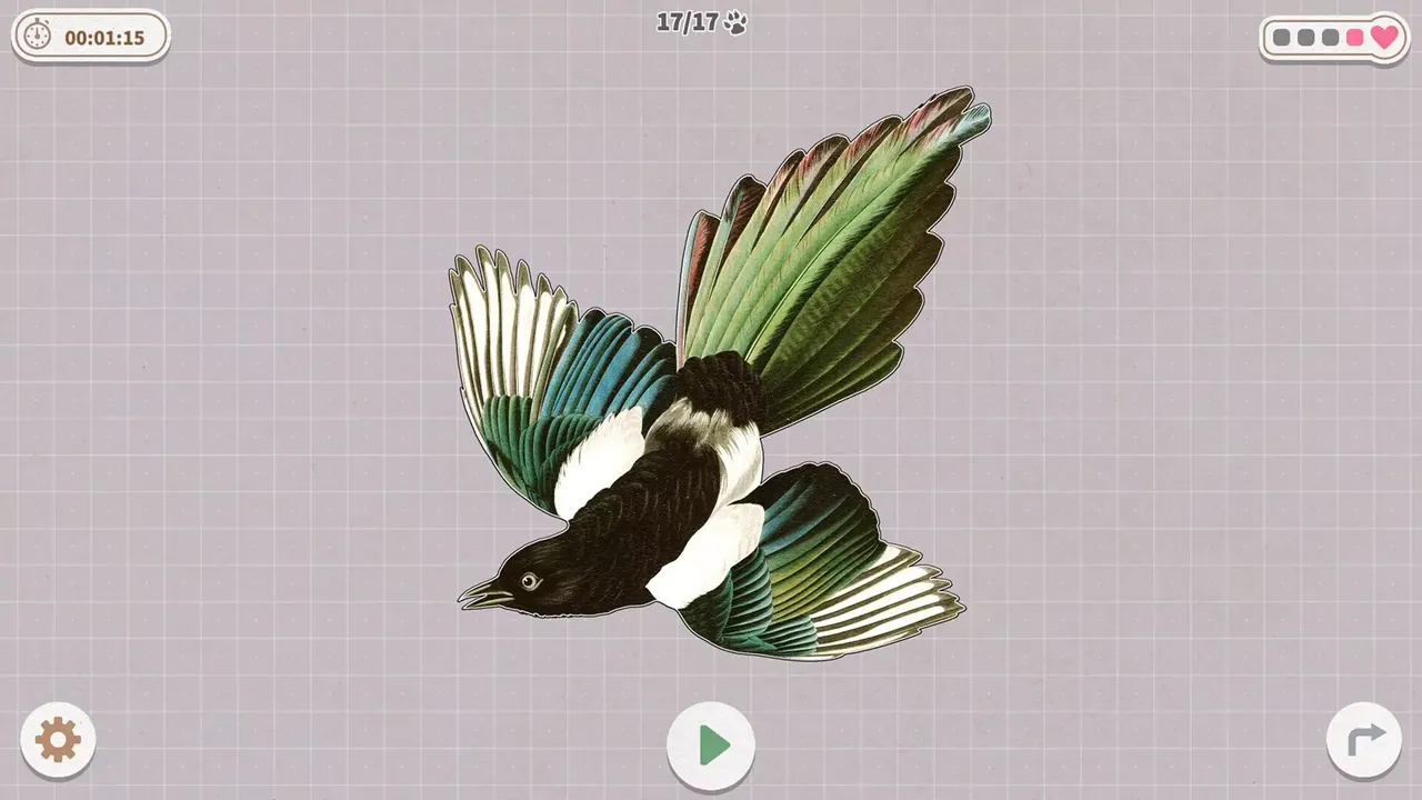 -Birds Huddled Together-游戏截图-好玩游戏库
