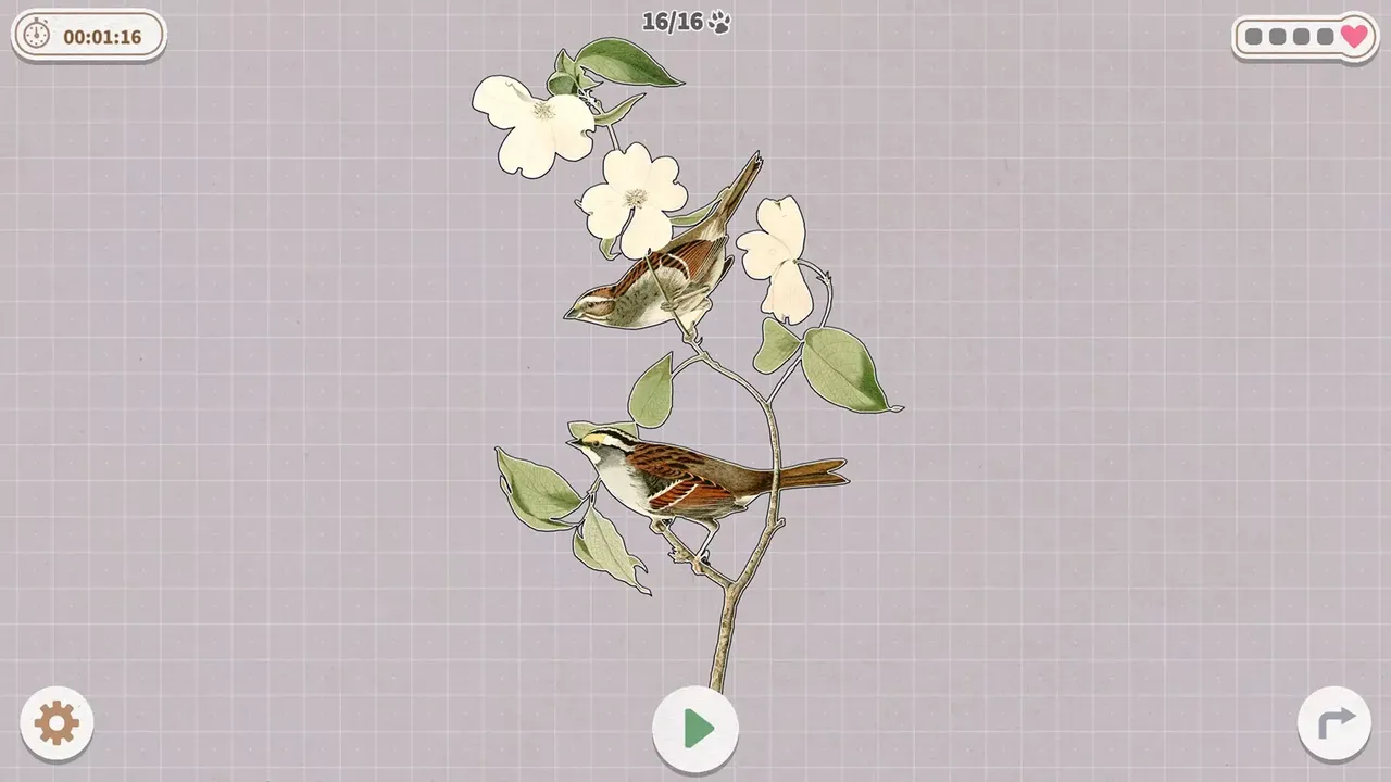 -Birds Huddled Together-游戏截图-好玩游戏库