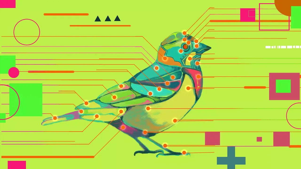 -Avian Enigma-游戏截图-好玩游戏库