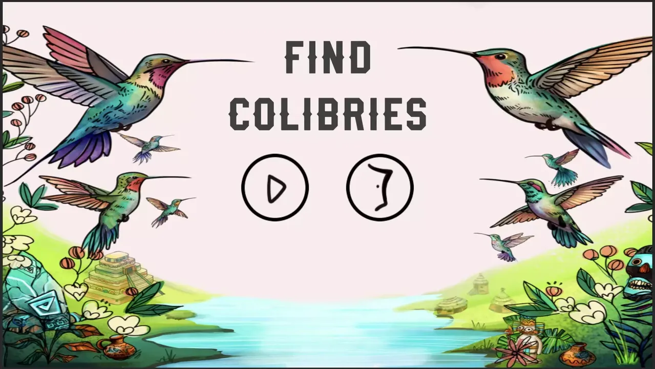 -Find Colibries-游戏截图-好玩游戏库