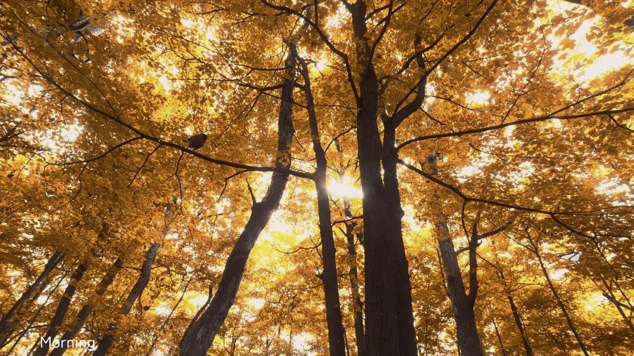 -Wanderness-游戏截图-好玩游戏库