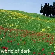 world of dark