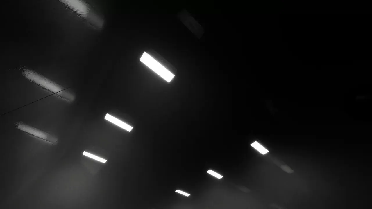 -Backrooms: The Phobolore-游戏截图-好玩游戏库