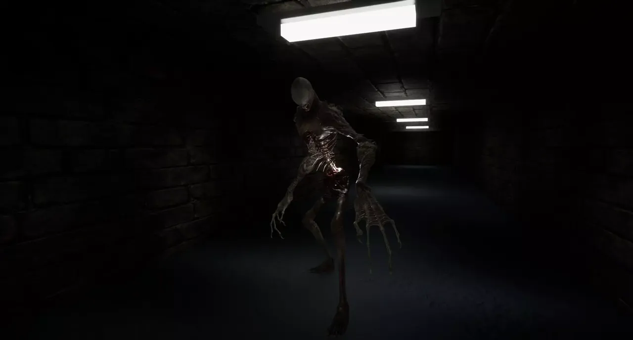 -The Corridors-游戏截图-好玩游戏库