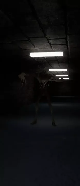 -The Corridors-游戏截图-好玩游戏库