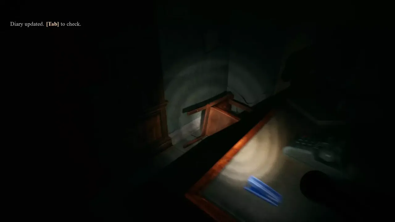 -Shadows Unveiled: Agnes-游戏截图-好玩游戏库