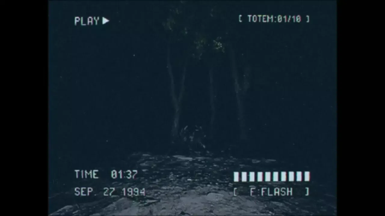 -Lost Footage: Sound In The Silence-游戏截图-好玩游戏库