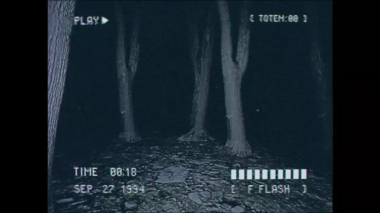 -Lost Footage: Sound In The Silence-游戏截图-好玩游戏库