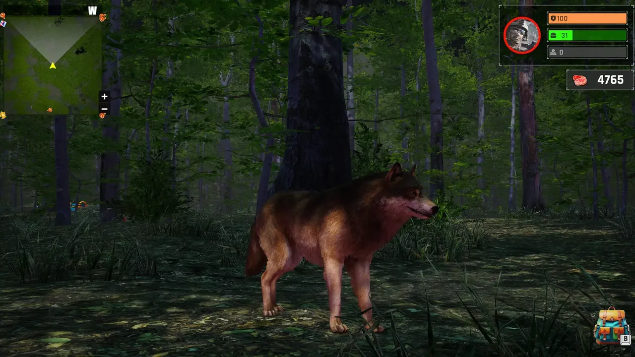-Wolf Simulator: Silent Paws-游戏截图-好玩游戏库
