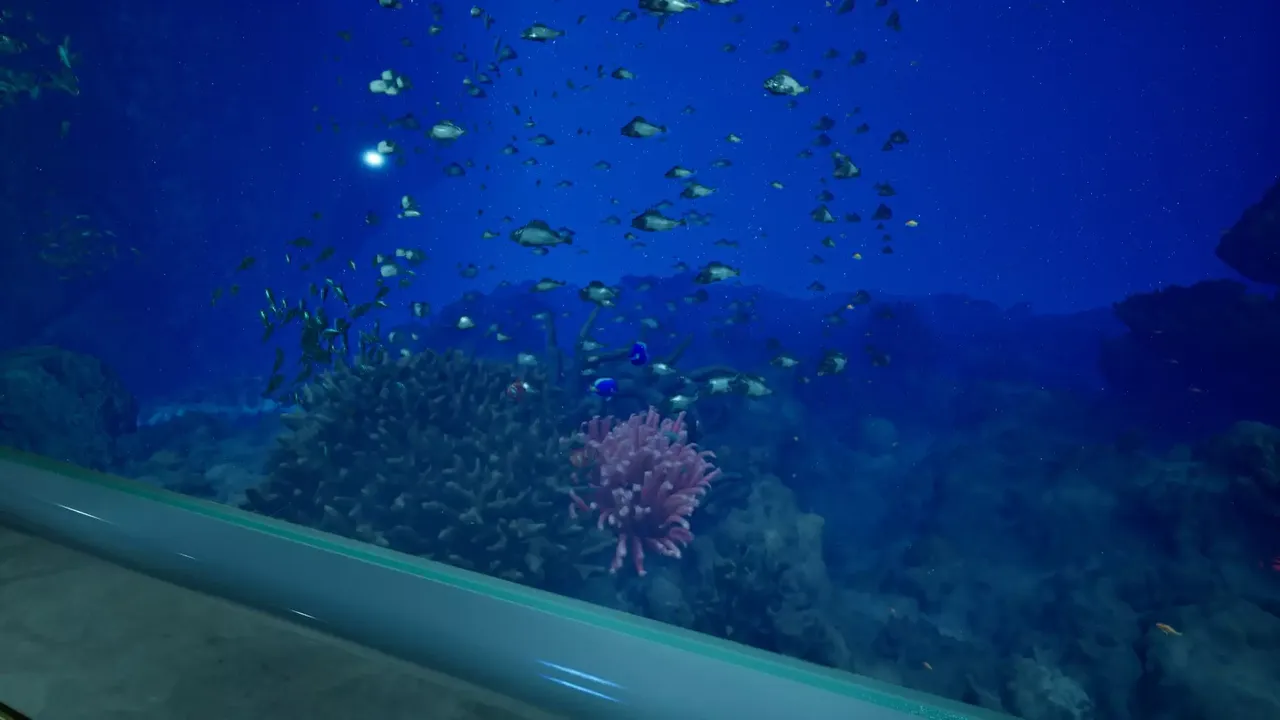 -Aquarium at August 32nd-游戏截图-好玩游戏库